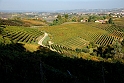 San damiano d'Asti - Colori d'autunno 2009_37